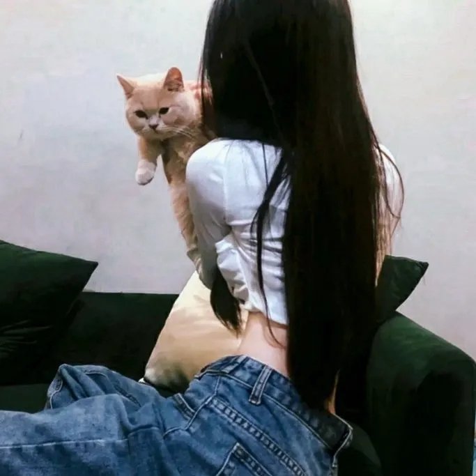 骚狐狸