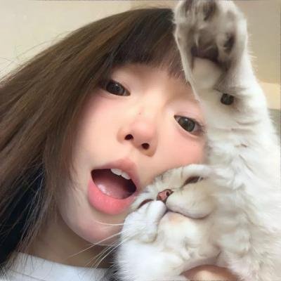 密使